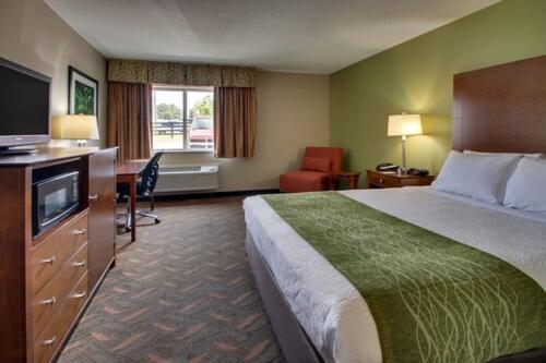 King Room interior
